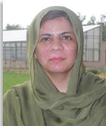 Dr. Bushra Ijaz